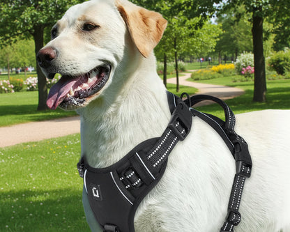 No Pull Dog Harness, Adjustable Soft Padded Pet Vest with Easy Control Handle